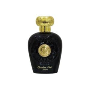 D'Ombre Jacques Yves Perfume 100ml EDP by Fragrance World - TEGA